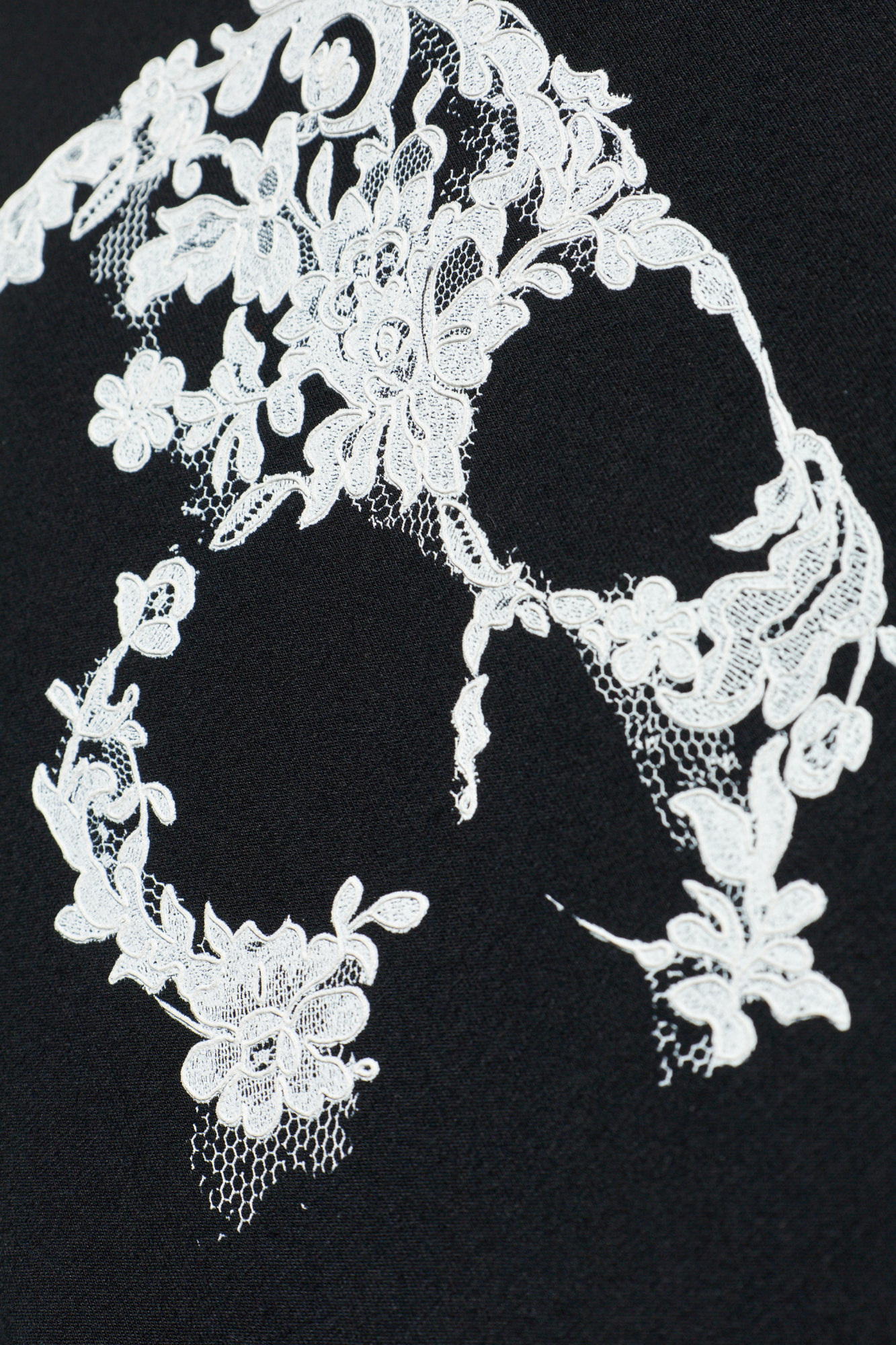 Alexander McQueen T-shirt with a distinctive skull motif | Men's